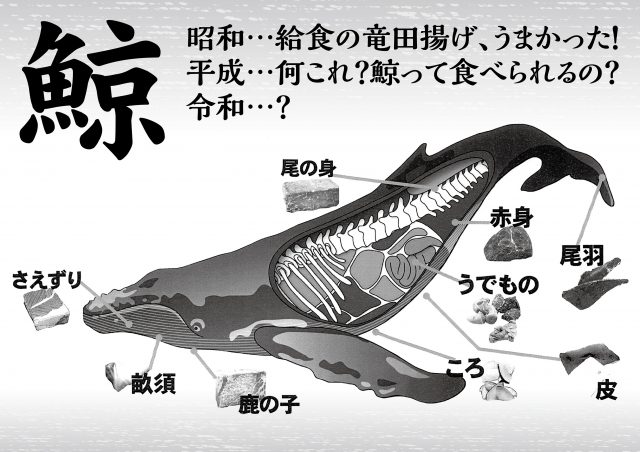 昭和世代には懐かしい味 『くじら』を販売します！ 店舗ブログ 鮮コーポレーション